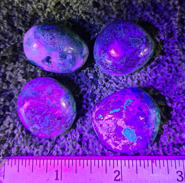 Chrysocholla tumbled stone *UV reactive*
