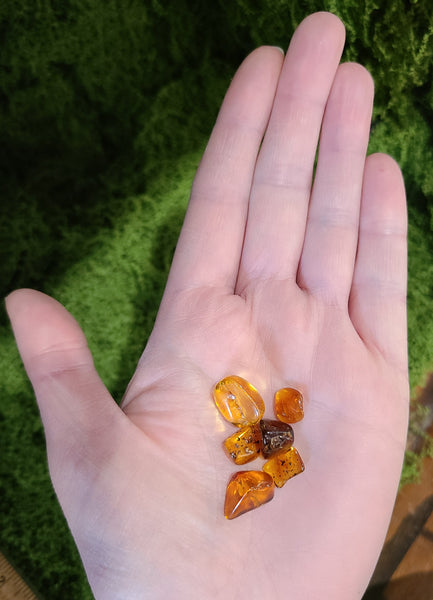 Baltic Amber tumbled stone *UV reactive*