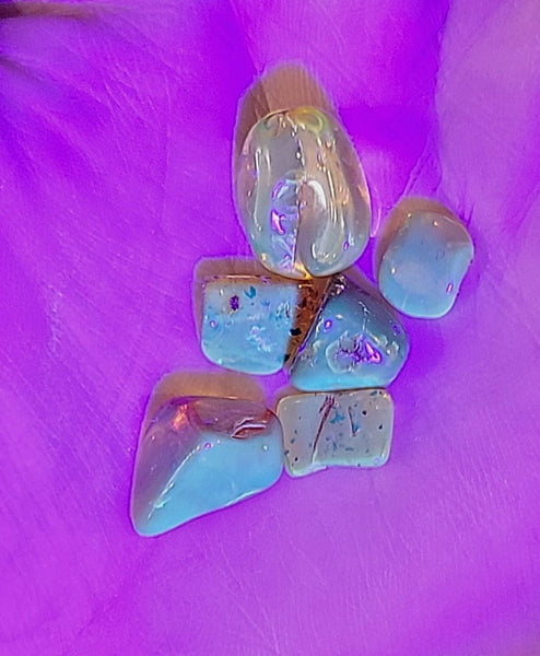 Baltic Amber tumbled stone *UV reactive*
