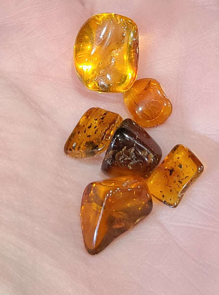 Baltic Amber tumbled stone *UV reactive*