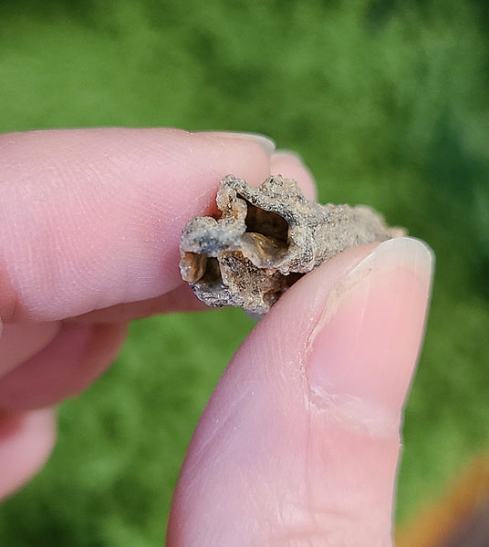 Fulgurite (Petrified lightning)