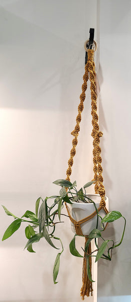 Macrame plant hanger (handmade by @sarasknots)