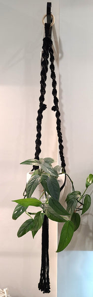 Macrame plant hanger (handmade by @sarasknots)
