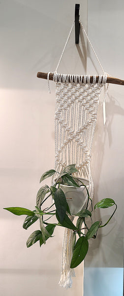 Macrame wall plant hanger (handmade by @sarasknots)