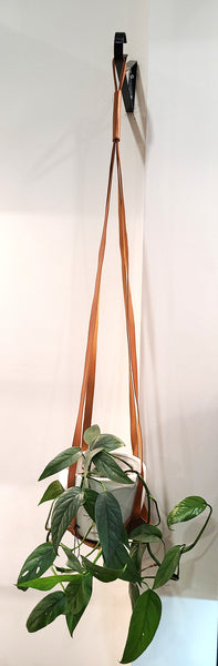 Faux leather plant hanger