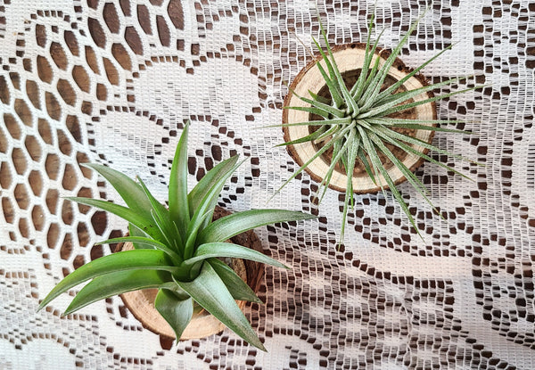 Wooden tealight holder